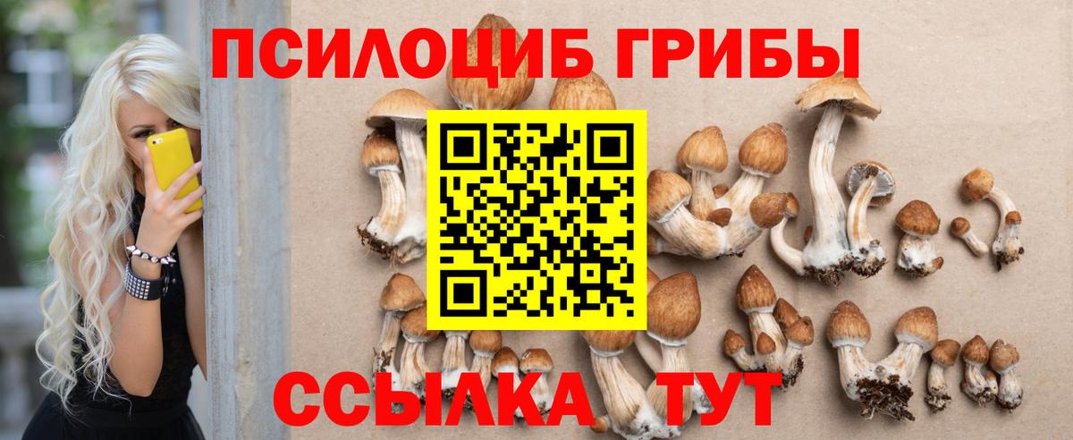 Псилоцибиновые грибы ЛСД  Вход с VPN  Буйнакск  Псилоцибиновые грибы мухоморы 