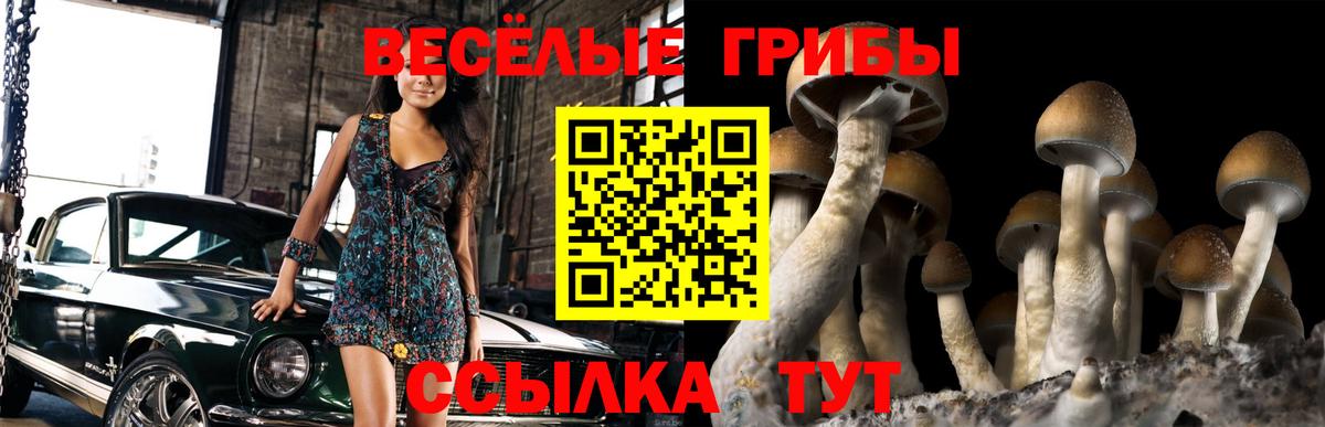 Псилоцибиновые грибы Magic Shrooms Буйнакск